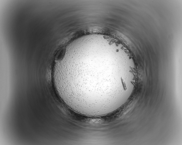 X0000096960401200802221346