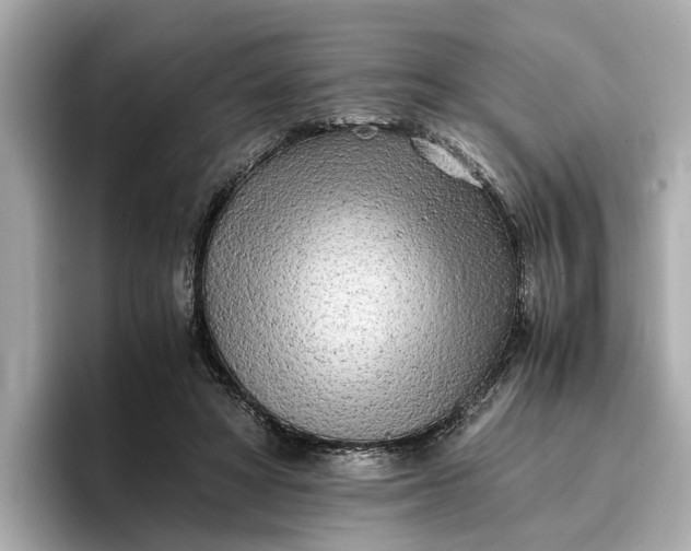 X0000096960402200802221346