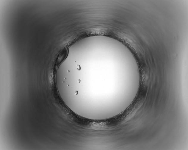 X0000096960403200802221346