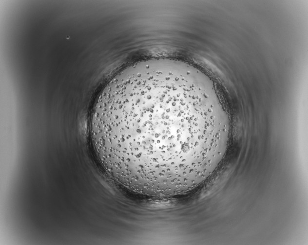 X0000096960405200802221346