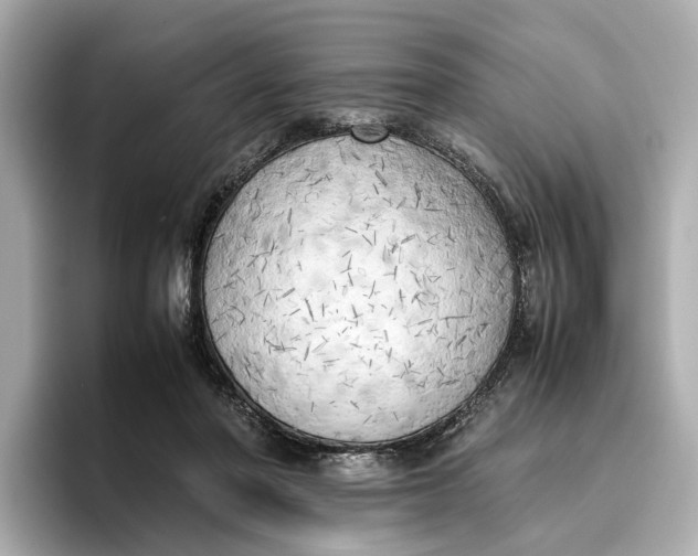 X0000096960406200802221346