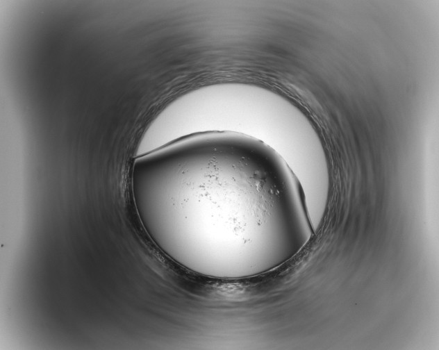 X0000096960409200802221346