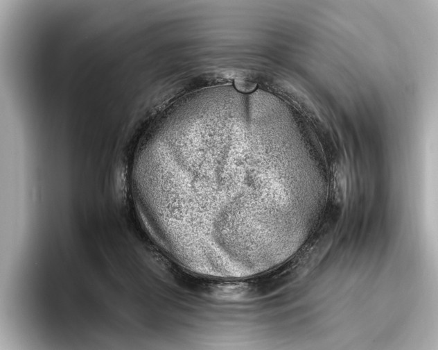 X0000096960410200802221346