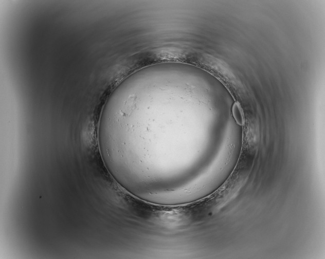 X0000096960411200802221346