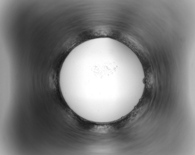 X0000096960414200802221346