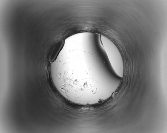 X0000096960415200802221346