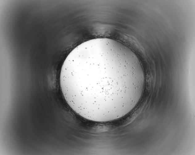 X0000096960416200802221346