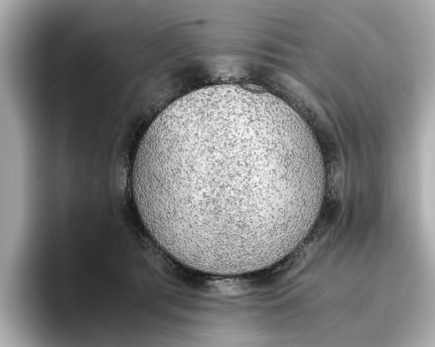 X0000096960417200802221346