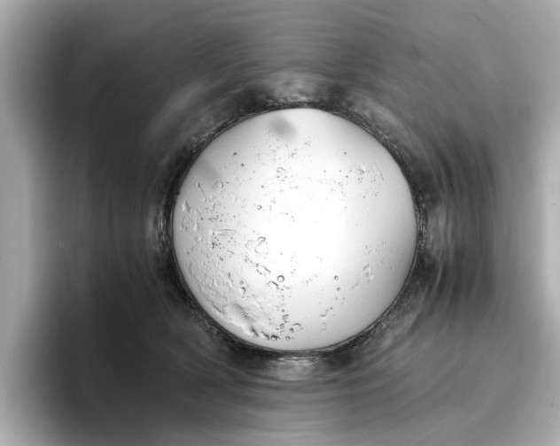 X0000096960418200802221346