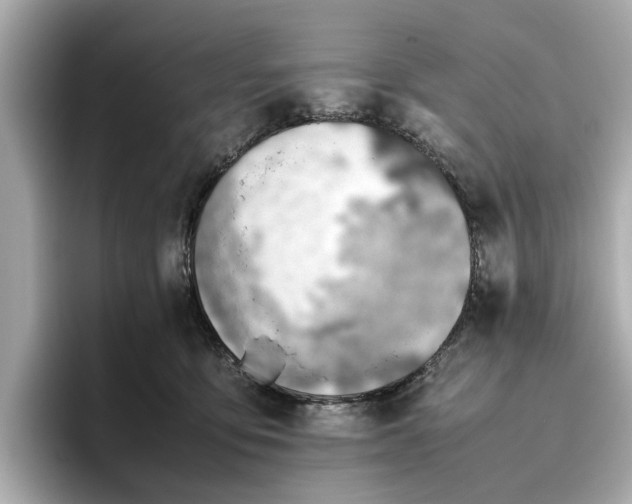 X0000096960419200802221346