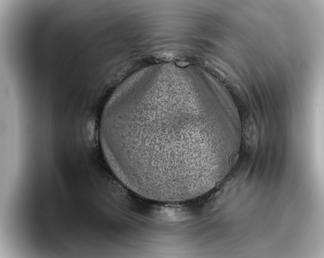 X0000096960420200802221346