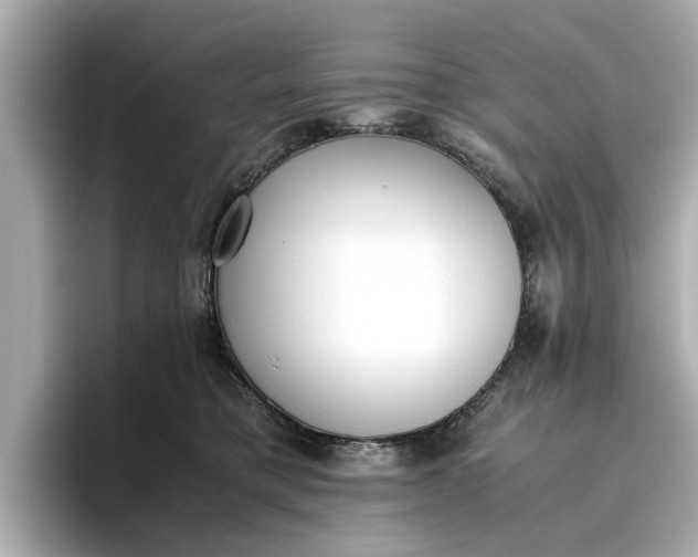 X0000096960421200802221346