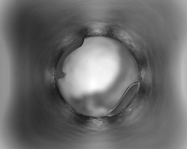 X0000096960423200802221346