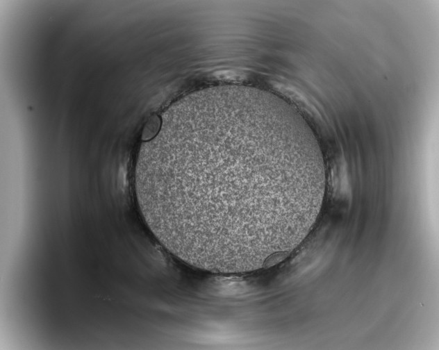 X0000096960424200802221346