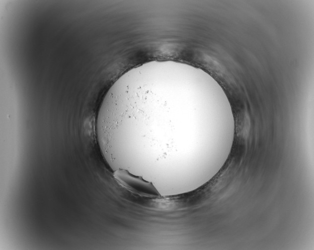 X0000096960425200802221346