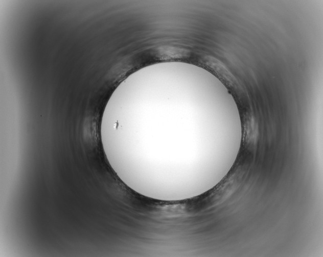 X0000096960426200802221346