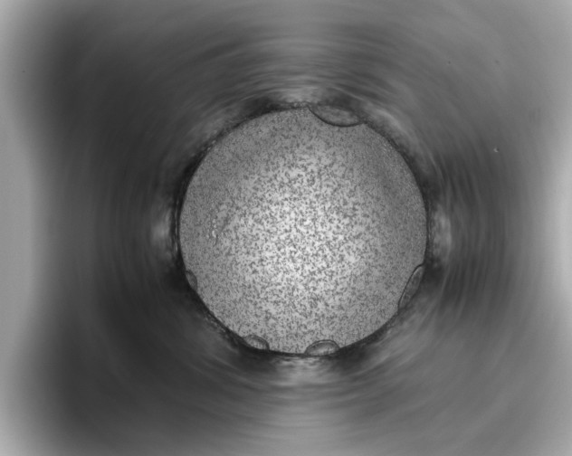 X0000096960428200802221346