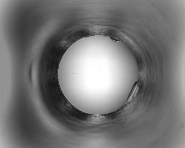 X0000096960429200802221346