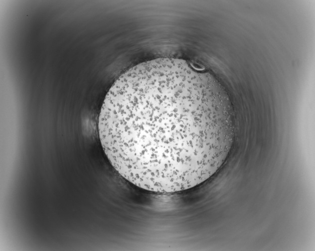 X0000096960432200802221346