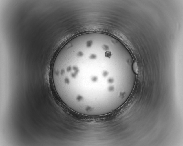 X0000096960434200802221345