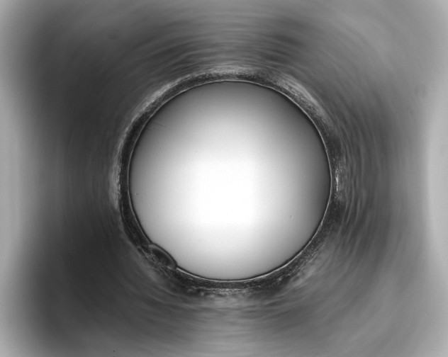 X0000096960436200802221345