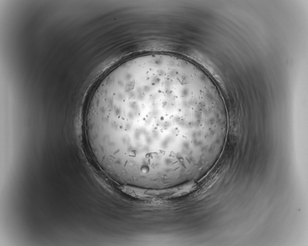 X0000096960437200802221345