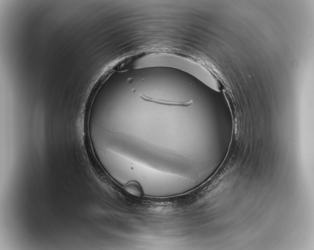 X0000096960438200802221345