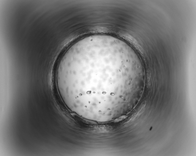 X0000096960439200802221345