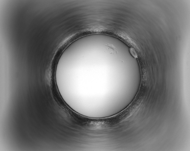 X0000096960440200802221345