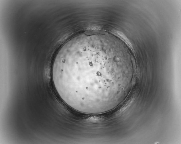 X0000096960441200802221345