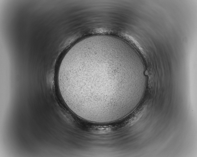 X0000096960443200802221345