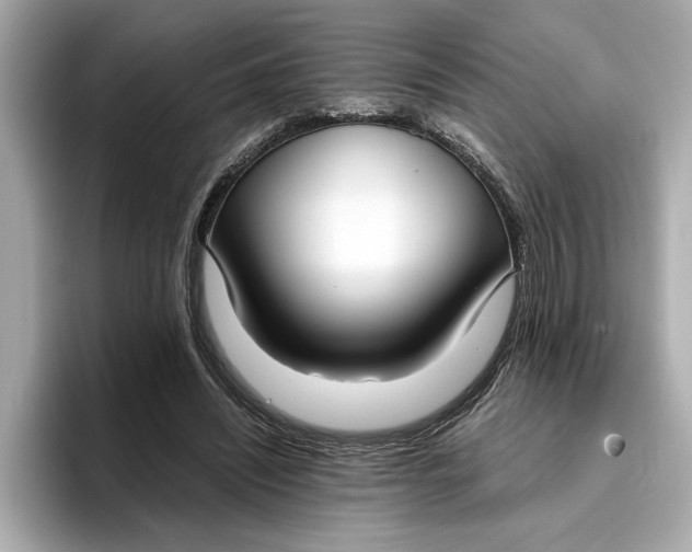 X0000096960444200802221345