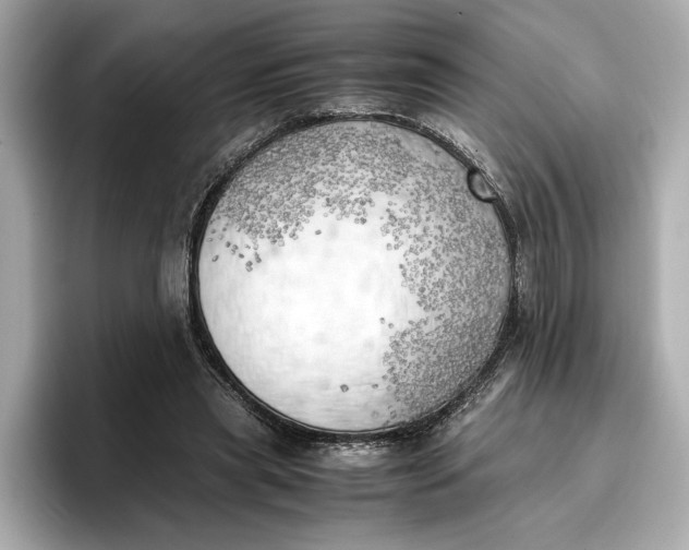 X0000096960445200802221345