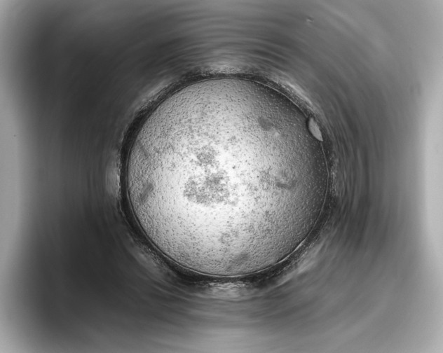 X0000096960446200802221345