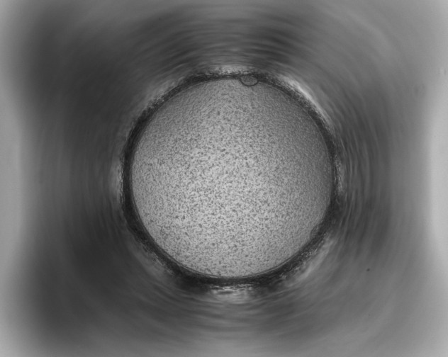 X0000096960447200802221345