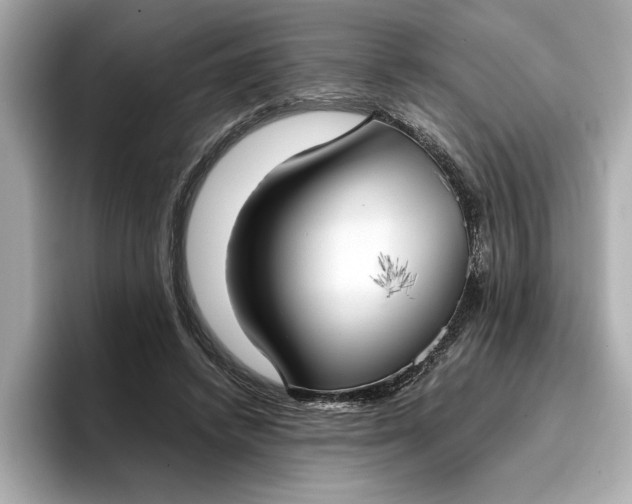 X0000096960448200802221345