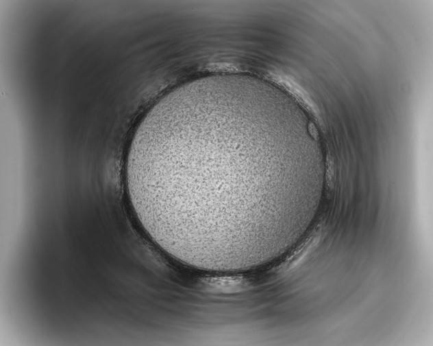 X0000096960449200802221345