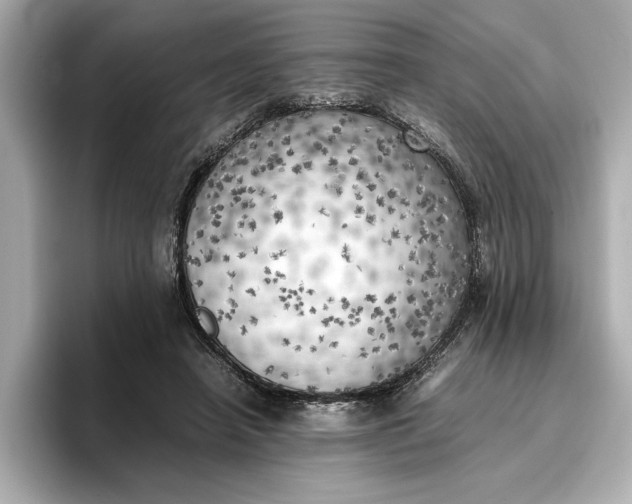 X0000096960450200802221345