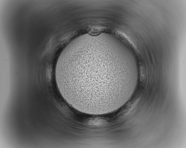 X0000096960451200802221345