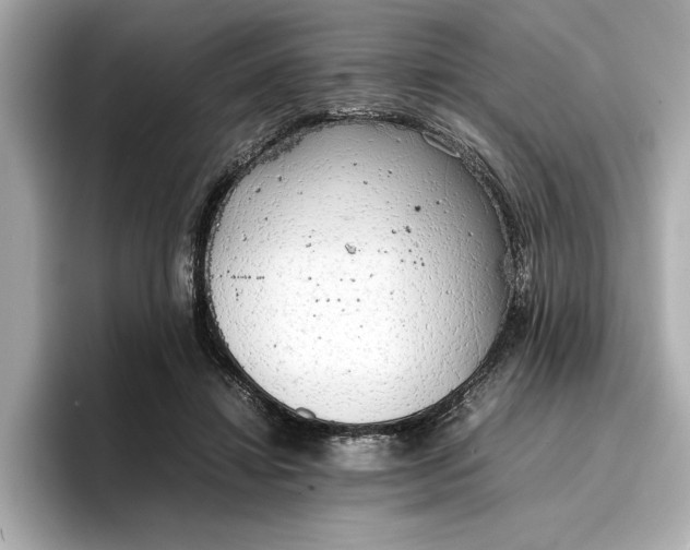 X0000096960452200802221345