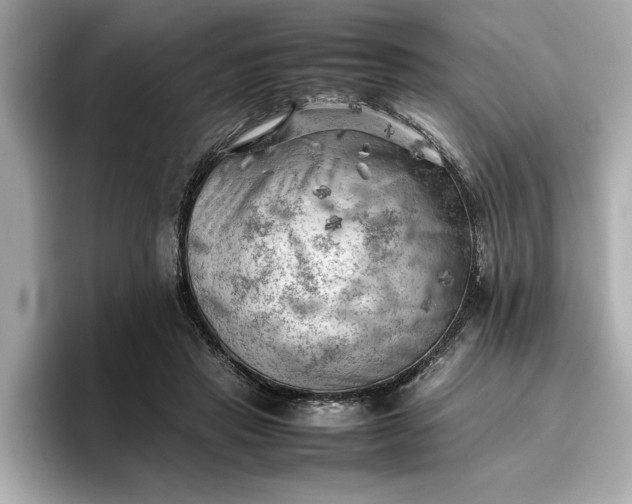 X0000096960453200802221345