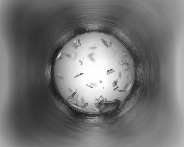 X0000096960454200802221345