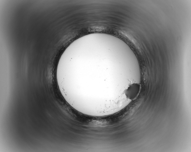 X0000096960455200802221345