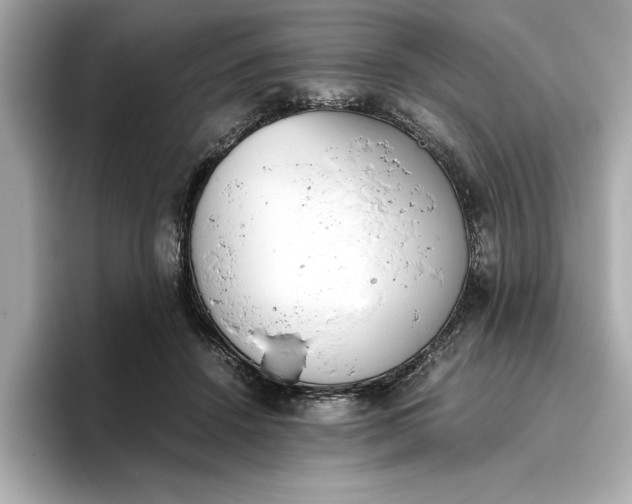 X0000096960456200802221345