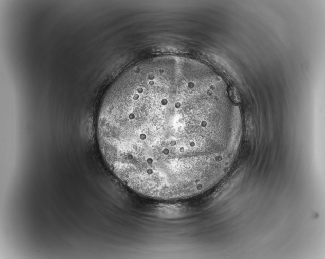 X0000096960457200802221345