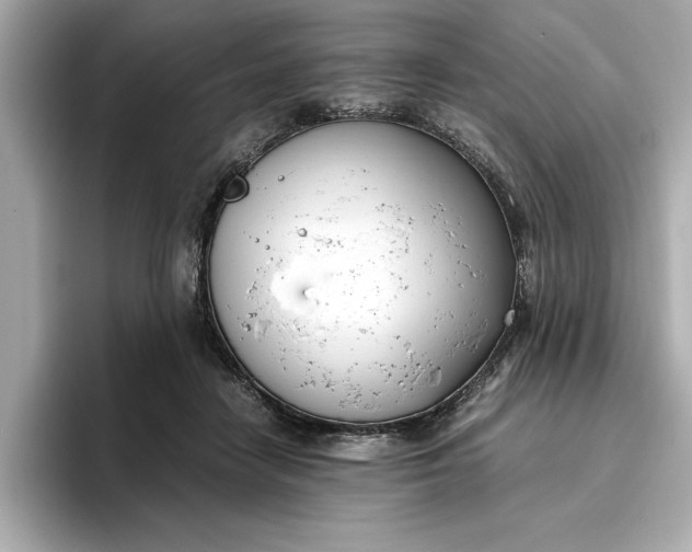 X0000096960458200802221345