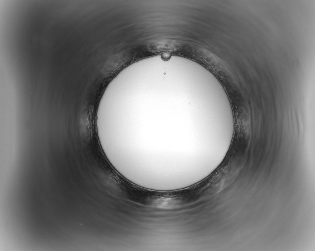 X0000096960460200802221345