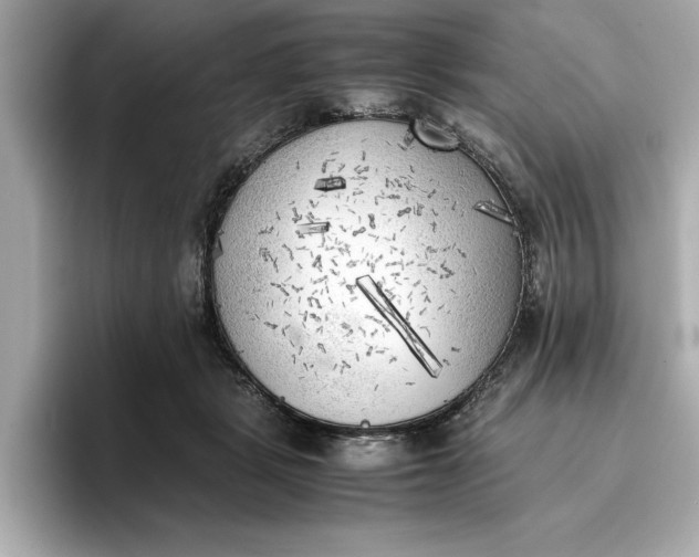 X0000096960461200802221345