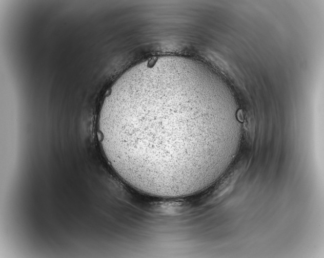 X0000096960462200802221346