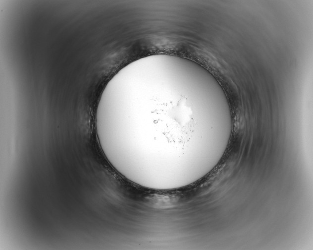 X0000096960464200802221346